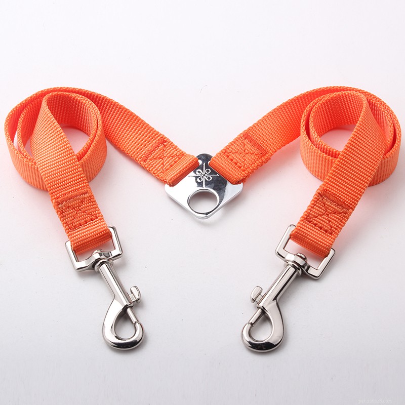 QQpets: Premium Custom Couple Dog Leashes for Two Dogs