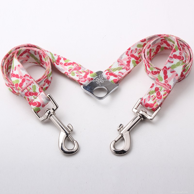 QQpets: Premium Custom Couple Dog Leashes for Two Dogs