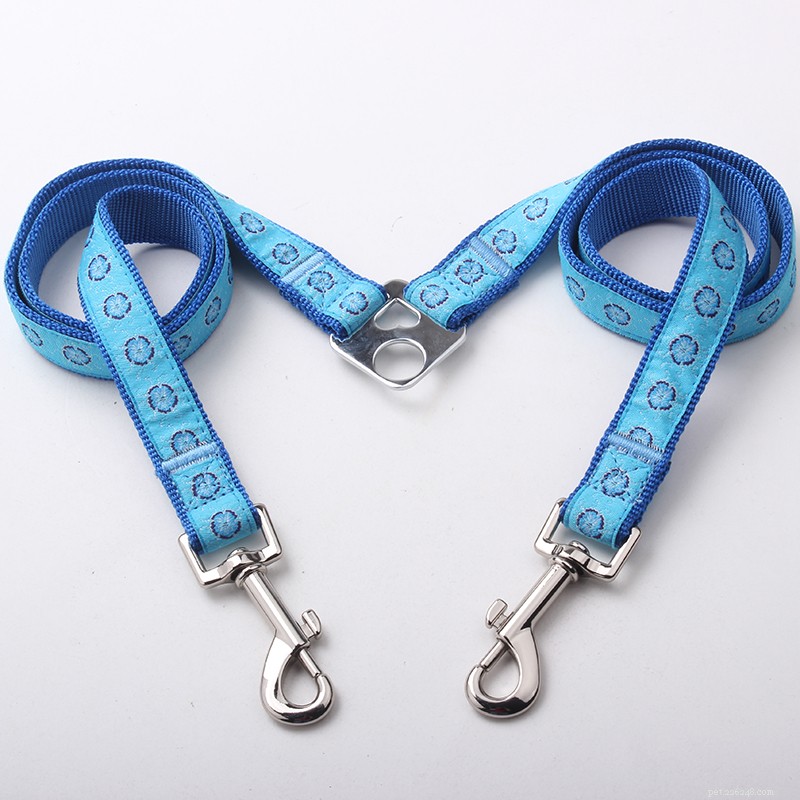 QQpets: Premium Custom Couple Dog Leashes for Two Dogs