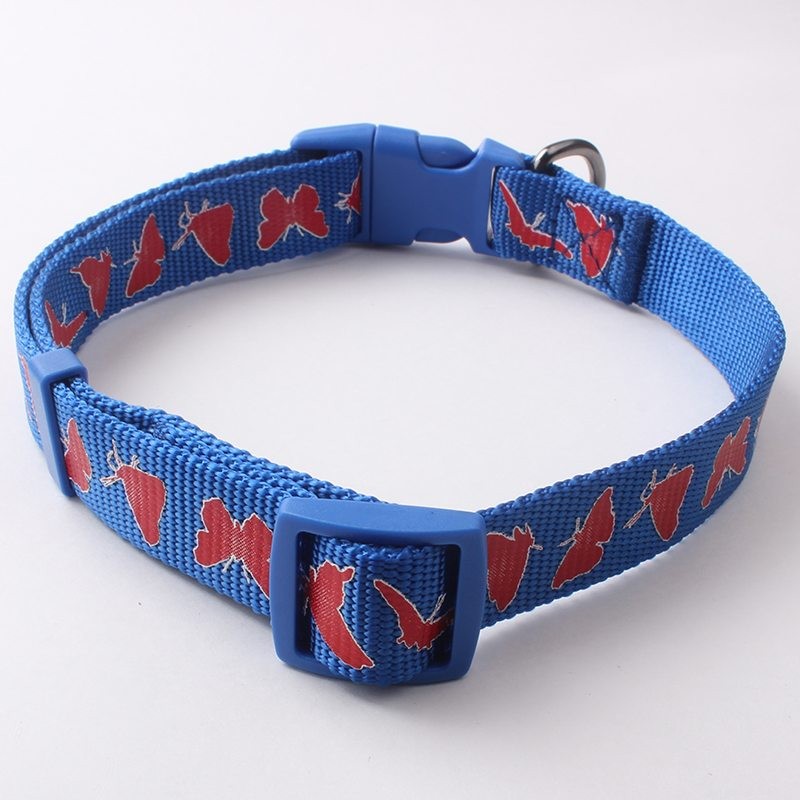 Silk Screen Printed Dog Collars: Quality, Design & Factory Direct Pricing – QQpets