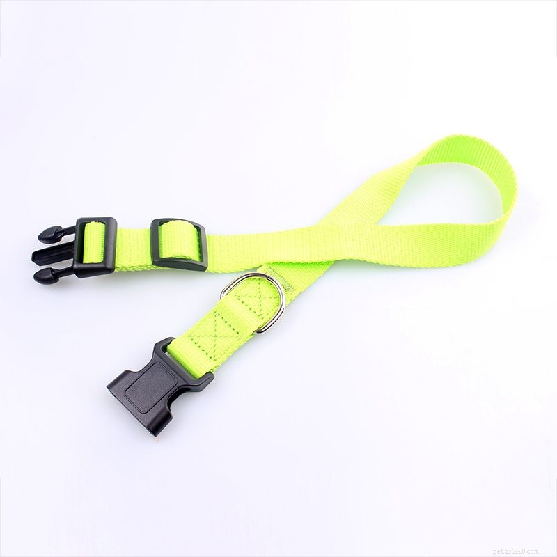 Premium Reflective Dog Collars from QQpets: Durable, High-Visibility, Customizable