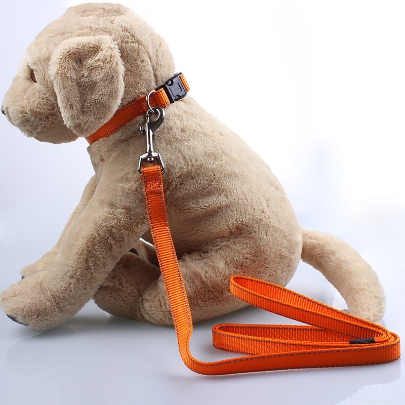 Premium Reflective Dog Collars from QQpets: Durable, High-Visibility, Customizable