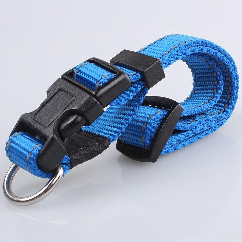 Premium Reflective Dog Collars from QQpets: Durable, High-Visibility, Customizable