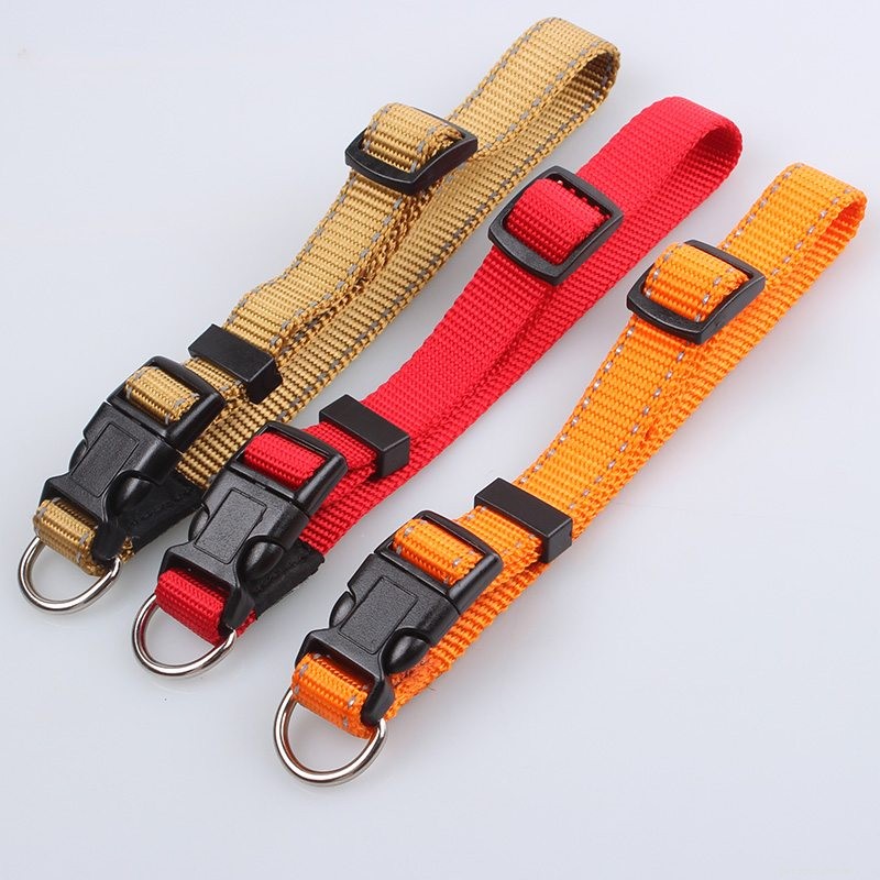Premium Reflective Dog Collars from QQpets: Durable, High-Visibility, Customizable