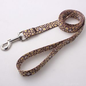 Premium Dog Leash Manufacturer QQpets – Trusted Supplier & Custom Solutions