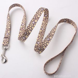 Premium Dog Leash Manufacturer QQpets – Trusted Supplier & Custom Solutions
