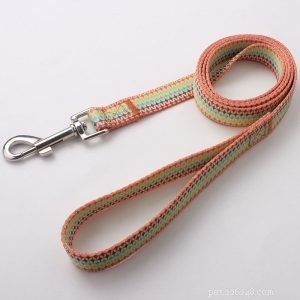 Premium Dog Leash Manufacturer QQpets – Trusted Supplier & Custom Solutions
