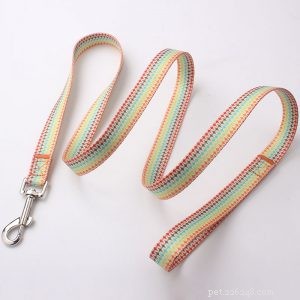 Premium Dog Leash Manufacturer QQpets – Trusted Supplier & Custom Solutions