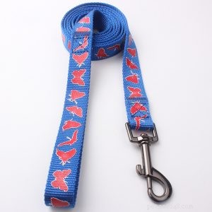 Premium Dog Leash Manufacturer QQpets – Trusted Supplier & Custom Solutions