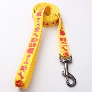 Premium Dog Leash Manufacturer QQpets – Trusted Supplier & Custom Solutions