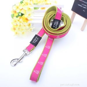 Premium Dog Leash Manufacturer QQpets – Trusted Supplier & Custom Solutions