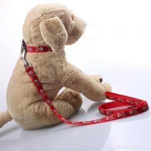 Choosing the Right Dog Leash: Expert Tips for Quality and Safety