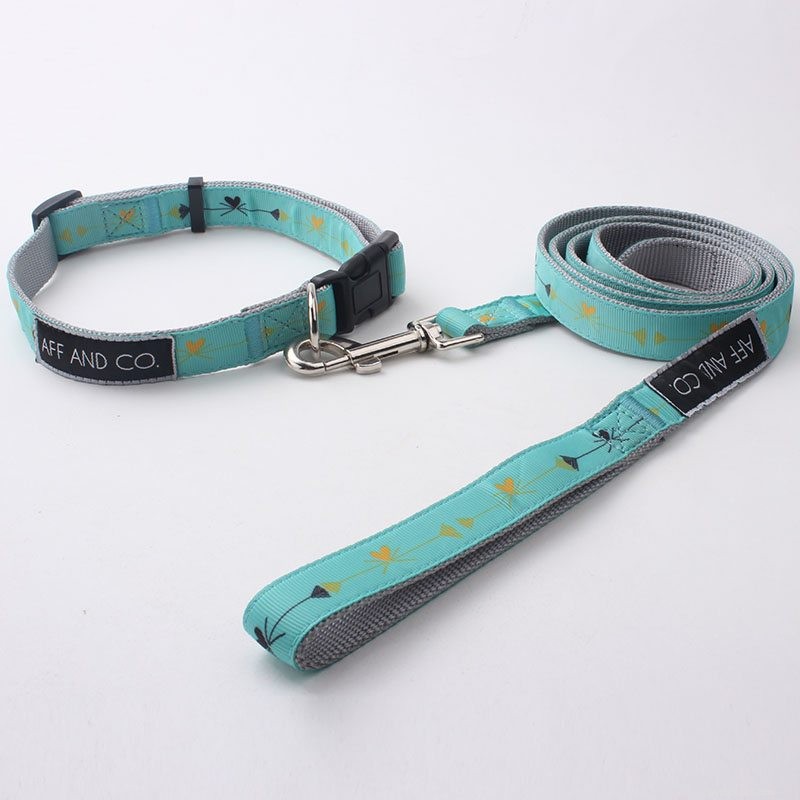 Choosing the Right Dog Leash: Expert Tips for Quality and Safety