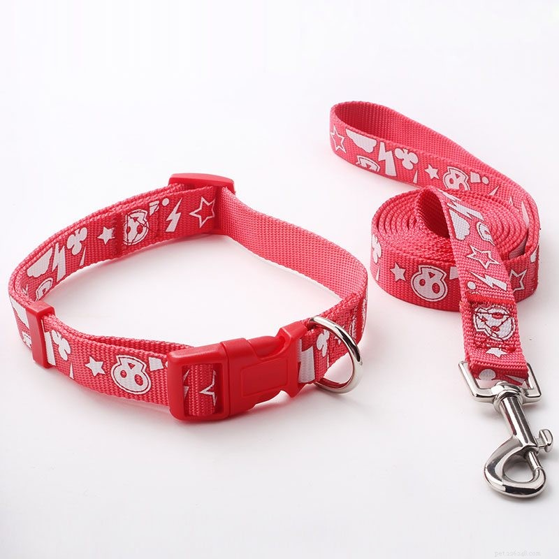 Choosing the Right Dog Leash: Expert Tips for Quality and Safety