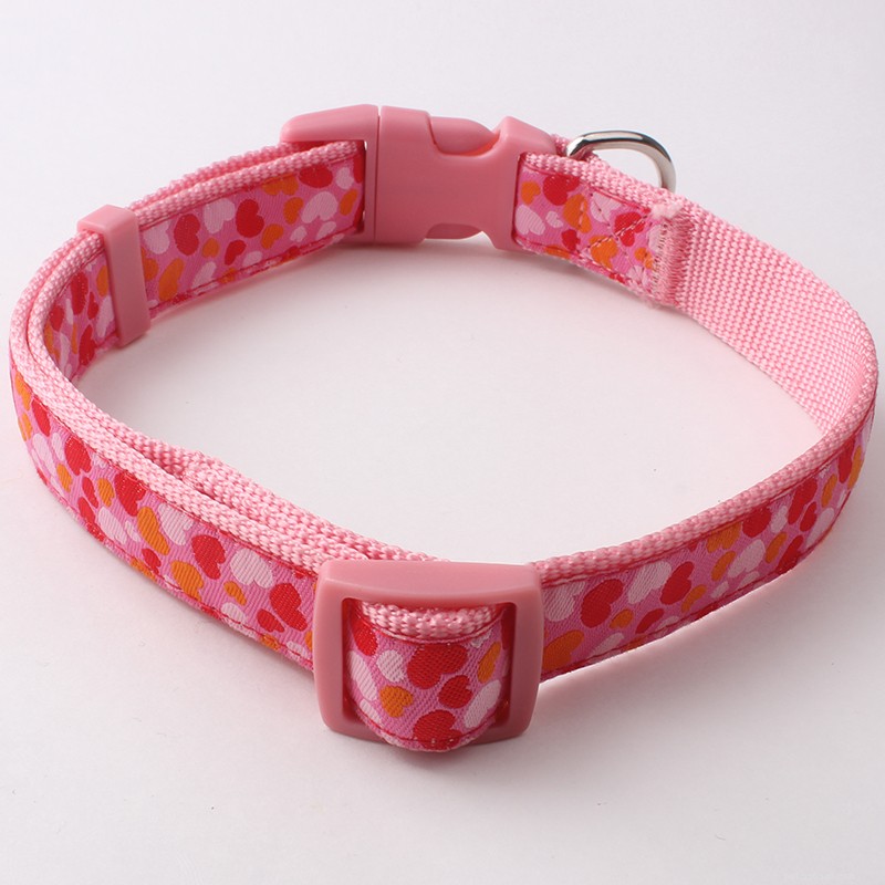 Choosing the Right Dog Collar: Expert Tips from Trusted Factory Suppliers