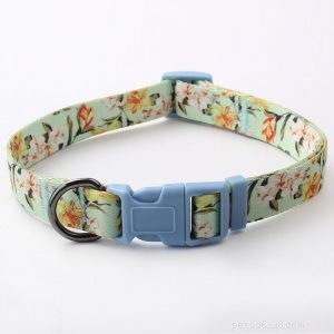 Choosing the Right Dog Collar: Expert Tips from Trusted Factory Suppliers
