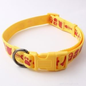 Choosing the Right Dog Collar: Expert Tips from Trusted Factory Suppliers