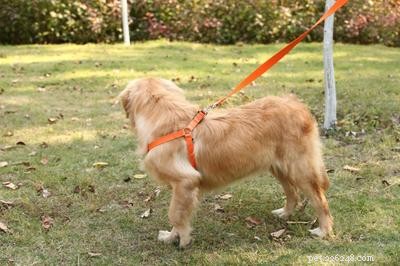 Dog Harness Factory Guide: How to Use Harnesses Correctly for Safe, Comfortable Walking