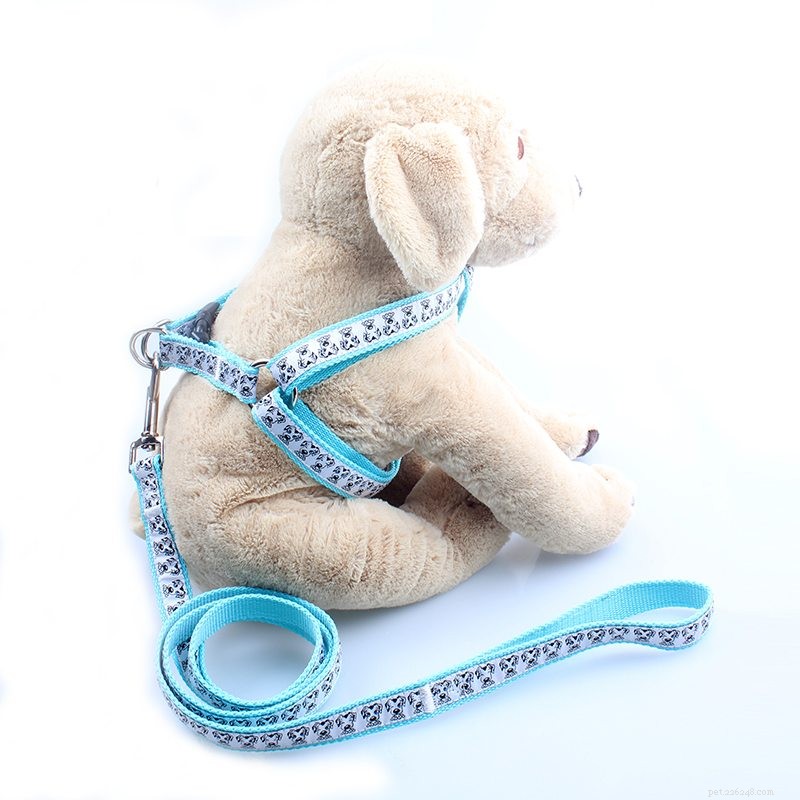 Dog Harness Factory Guide: How to Use Harnesses Correctly for Safe, Comfortable Walking