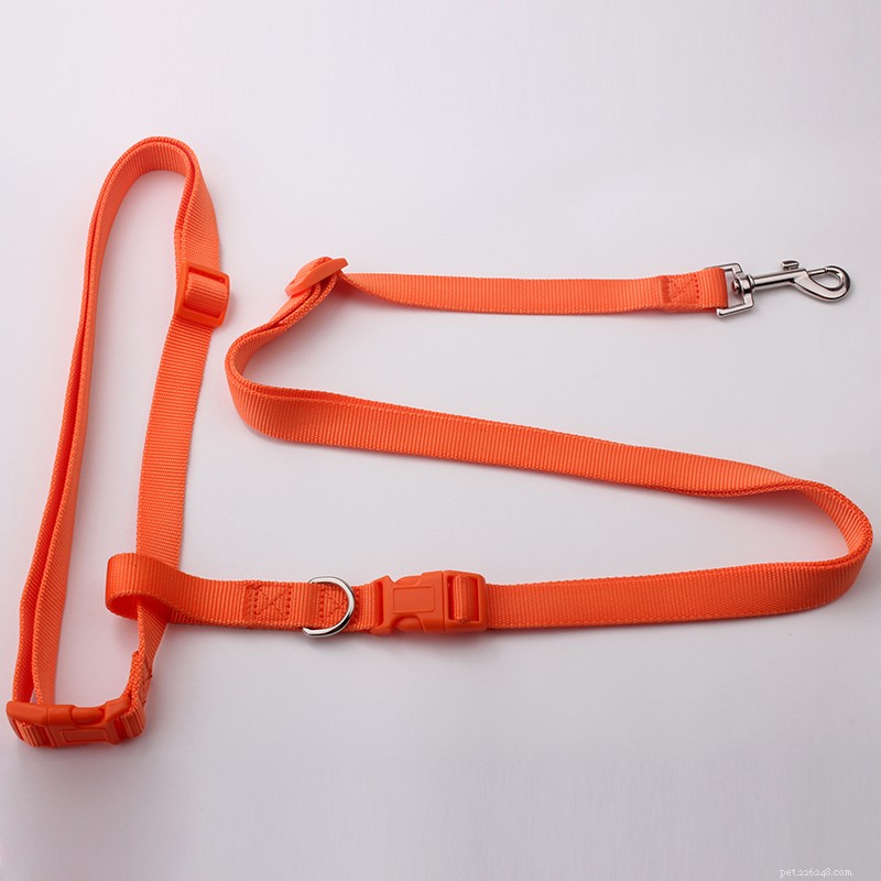 What Is a Running Dog Leash? A Guide to Comfortable, Hands‑Free Outdoor Training
