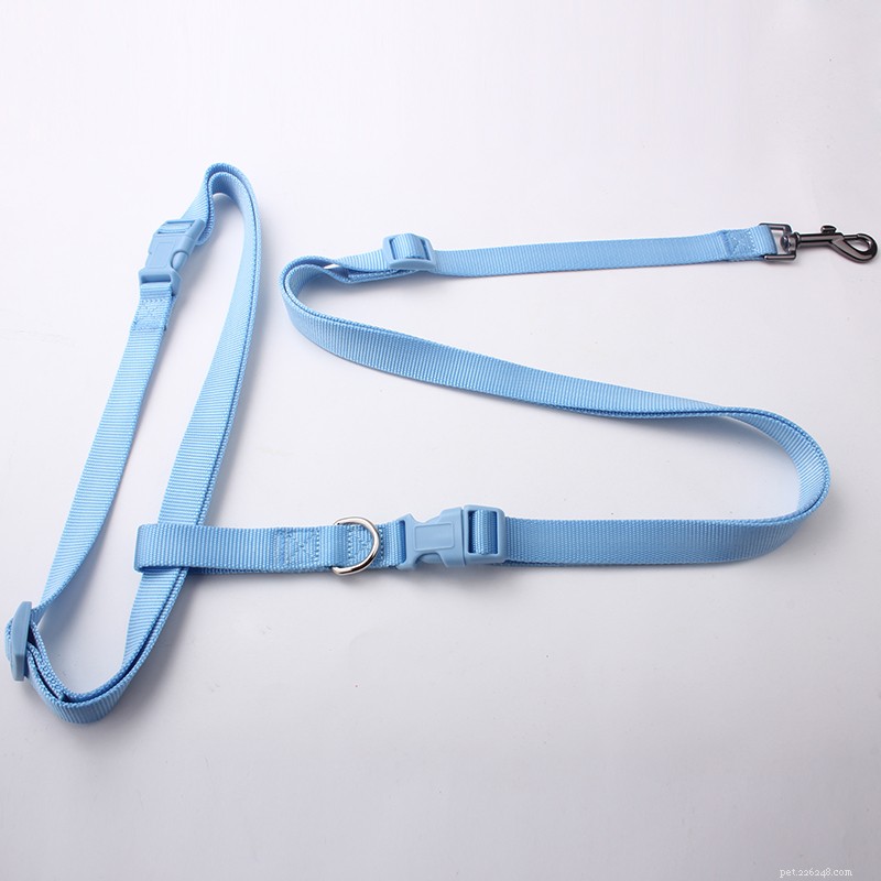 What Is a Running Dog Leash? A Guide to Comfortable, Hands‑Free Outdoor Training