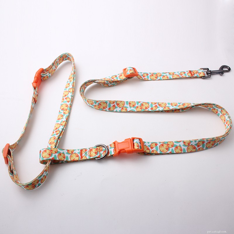 What Is a Running Dog Leash? A Guide to Comfortable, Hands‑Free Outdoor Training