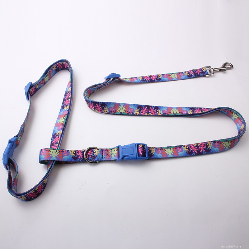 What Is a Running Dog Leash? A Guide to Comfortable, Hands‑Free Outdoor Training
