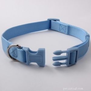 Premium Dog Collars & Leashes Wholesale – Custom Orders & Expert Cleaning Guide