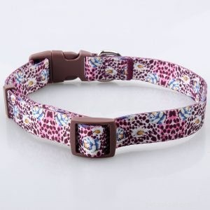 QQpets: Your Trusted Dog Collar Manufacturer – Custom, Durable Collars