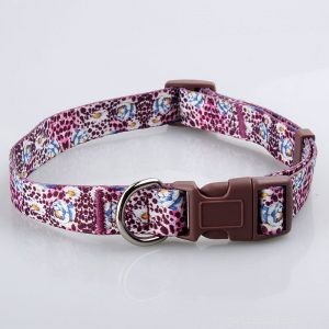 QQpets: Your Trusted Dog Collar Manufacturer – Custom, Durable Collars