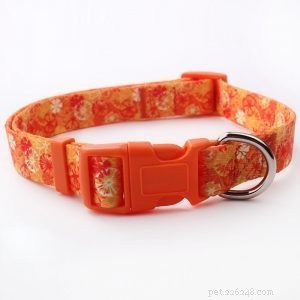 QQpets: Premium Dog Collar Manufacturer Offering a Wide Range of Custom Designs