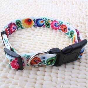 QQpets: Premium Dog Collar Manufacturer Offering a Wide Range of Custom Designs