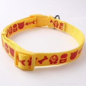 QQpets: Premium Dog Collar Manufacturer Offering a Wide Range of Custom Designs