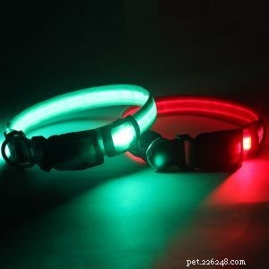 QQpets: Premium Dog Collar Manufacturer Offering a Wide Range of Custom Designs
