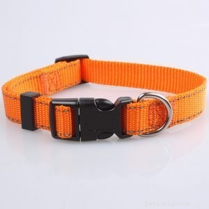QQpets: Premium Dog Collar Manufacturer Offering a Wide Range of Custom Designs