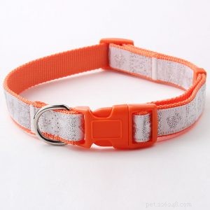 QQpets: Premium Dog Collar Manufacturer Offering a Wide Range of Custom Designs