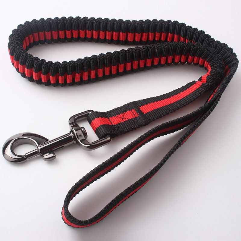 Premium Spring Dog Leashes – High‑Quality Polyester from QQpets, China’s Leading Manufacturer