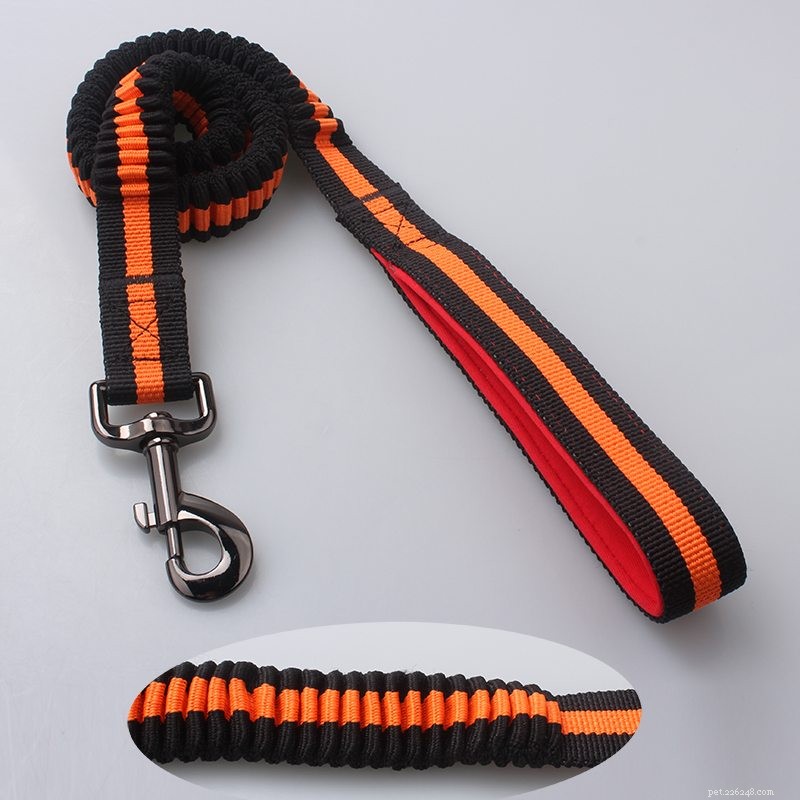 Premium Spring Dog Leashes – High‑Quality Polyester from QQpets, China’s Leading Manufacturer