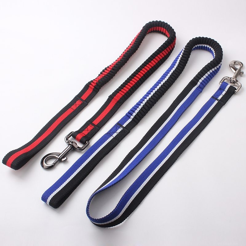 Premium Spring Dog Leashes – High‑Quality Polyester from QQpets, China’s Leading Manufacturer