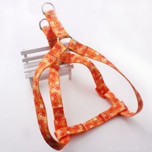 Premium Dog Harnesses – Custom, High‑Quality Nylon & Polyester – QQpets Factory