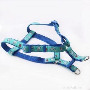 Premium Dog Harnesses – Custom, High‑Quality Nylon & Polyester – QQpets Factory