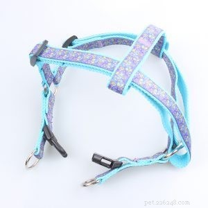 Premium Dog Harnesses – Custom, High‑Quality Nylon & Polyester – QQpets Factory