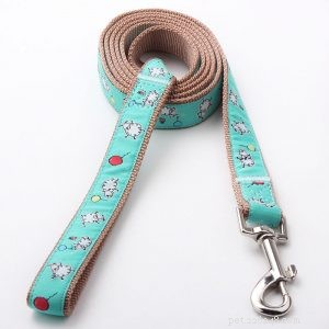 High-Quality Custom Dog Leashes from QQPets – Premium Materials & Expert Manufacturing
