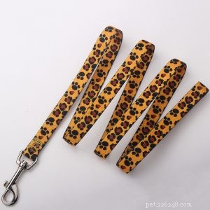 High-Quality Custom Dog Leashes from QQPets – Premium Materials & Expert Manufacturing