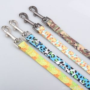 High-Quality Custom Dog Leashes from QQPets – Premium Materials & Expert Manufacturing