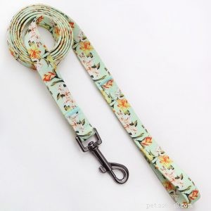 QQpets Dog Leash Factory: 8 Premium Leash Options for Your Pets