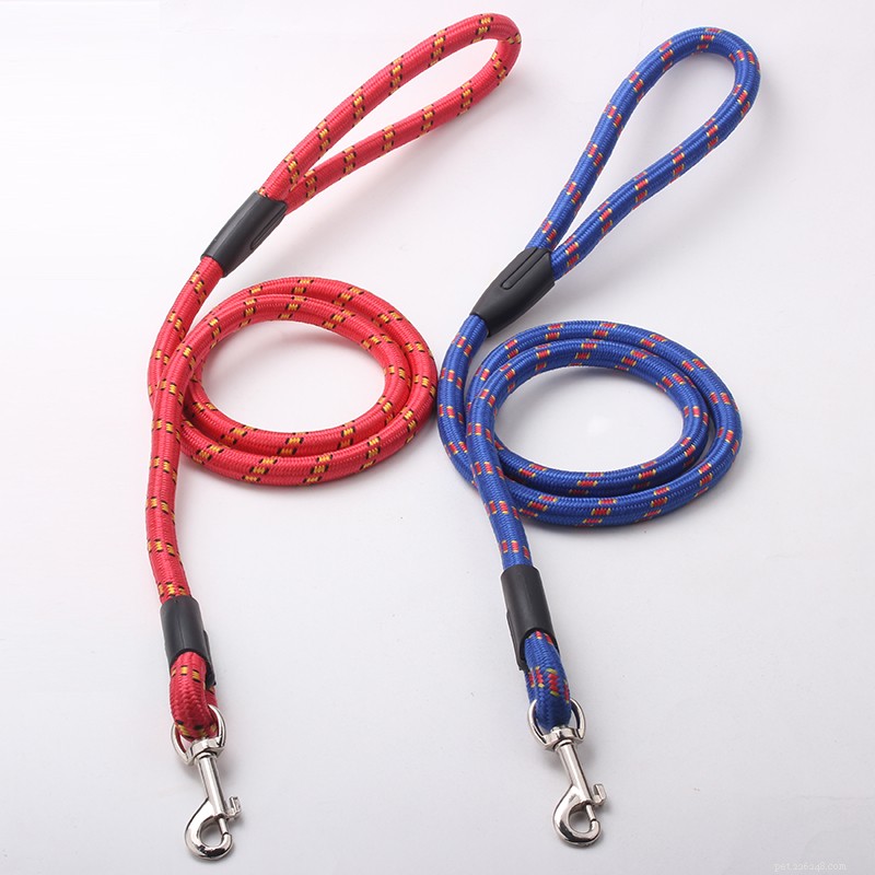 QQpets Dog Leash Factory: 8 Premium Leash Options for Your Pets