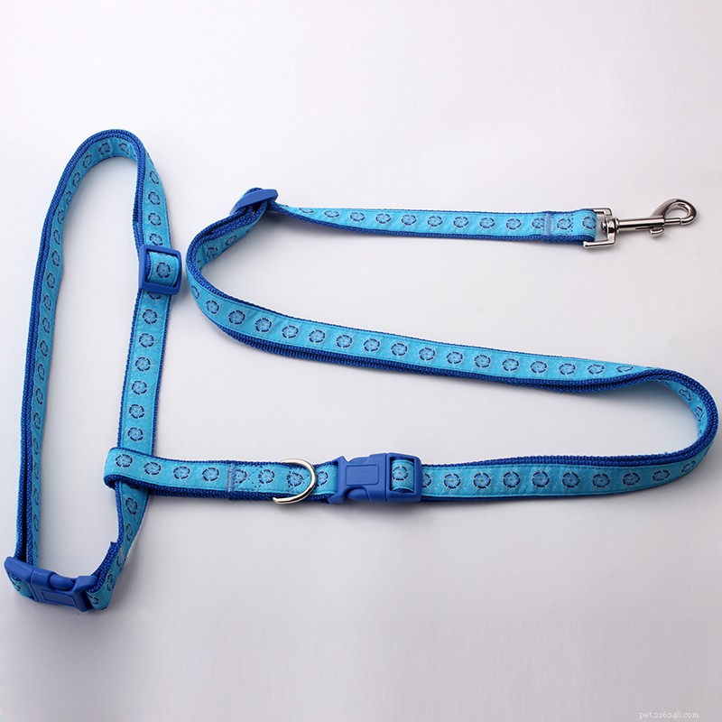 QQpets Dog Leash Factory: 8 Premium Leash Options for Your Pets