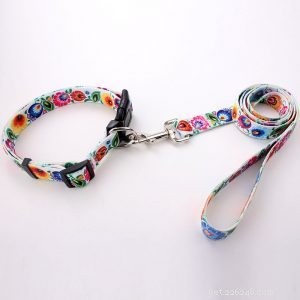 QQPets: Premium Custom Dog Collars & Leashes – Explore Our Wide Range of High-Quality Products