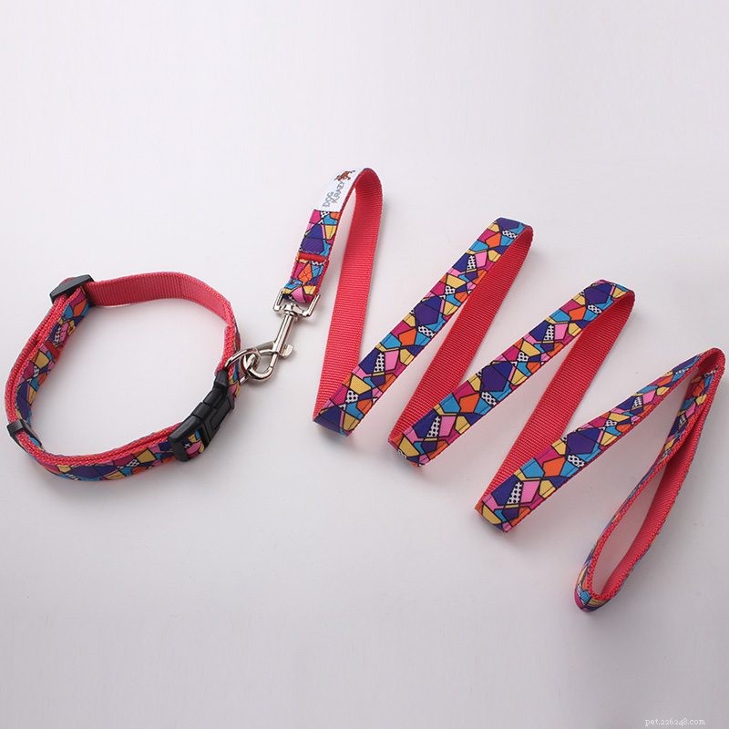 QQPets: Premium Custom Dog Collars & Leashes – Explore Our Wide Range of High-Quality Products